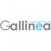 GALLINEA