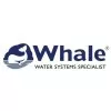 Whale